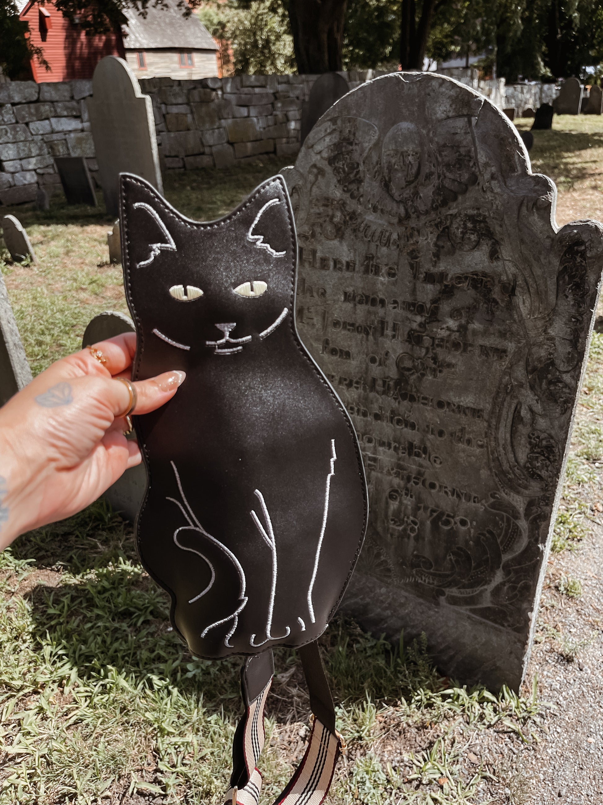 PRE-ORDER (estimated arrival 9/2) Binx black cat crossbody purse