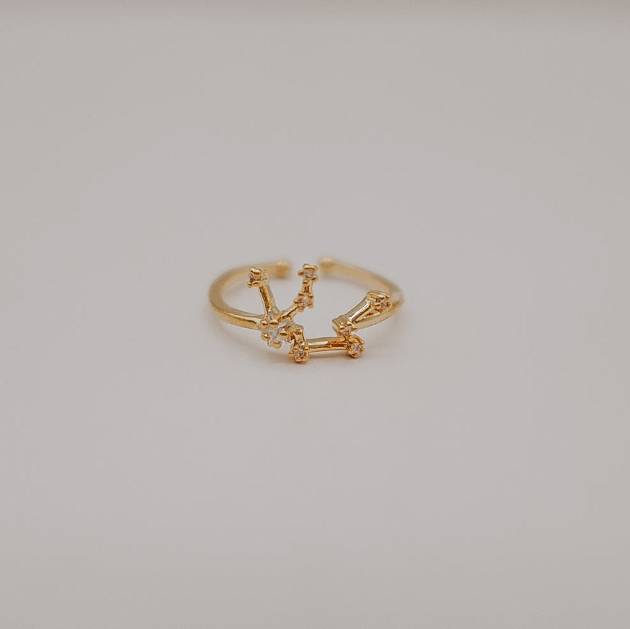 Zodiac Constellation Ring - Gold