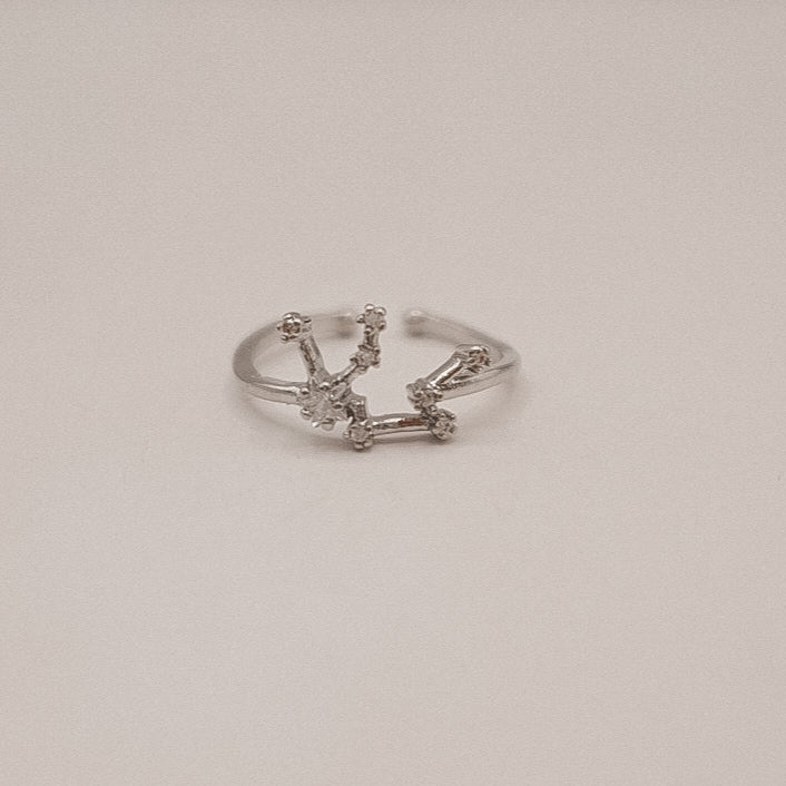 Zodiac Constellation Ring - Silver