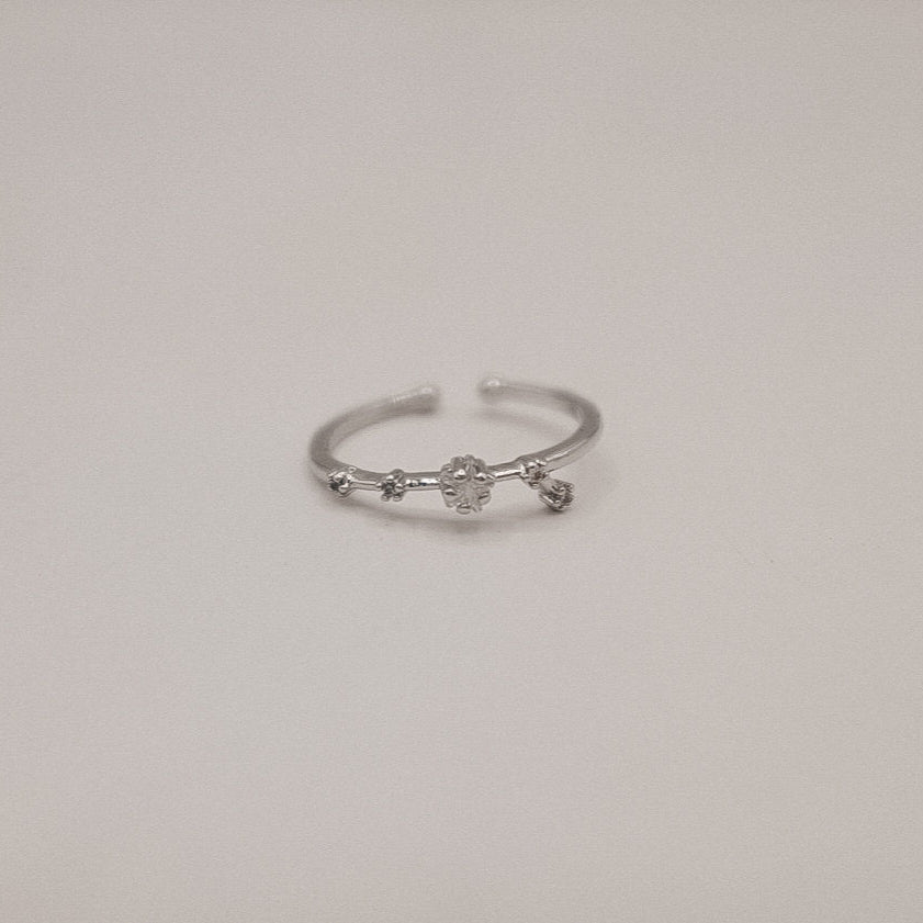 Zodiac Constellation Ring - Silver