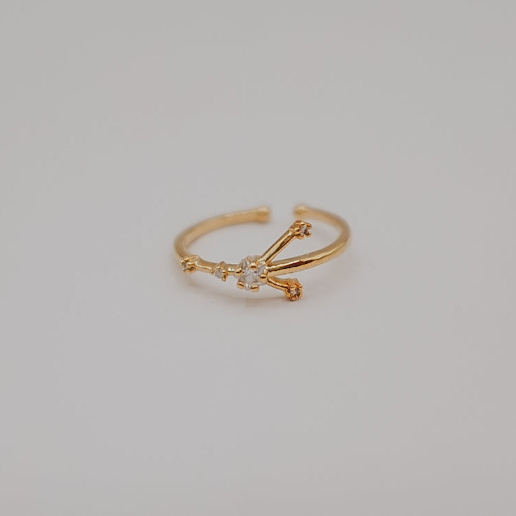 Zodiac Constellation Ring - Gold