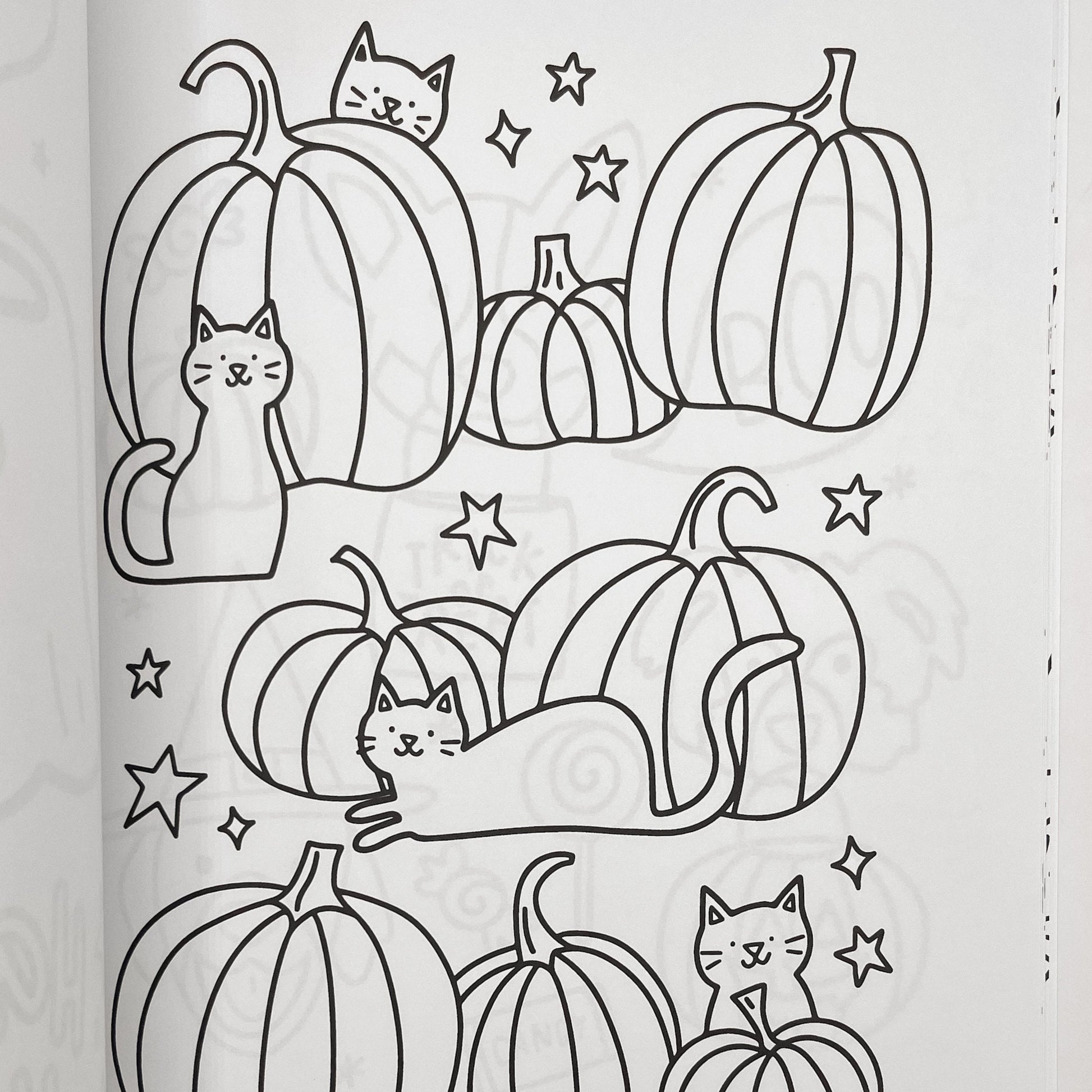 Hocus Pocus Halloween Coloring Book