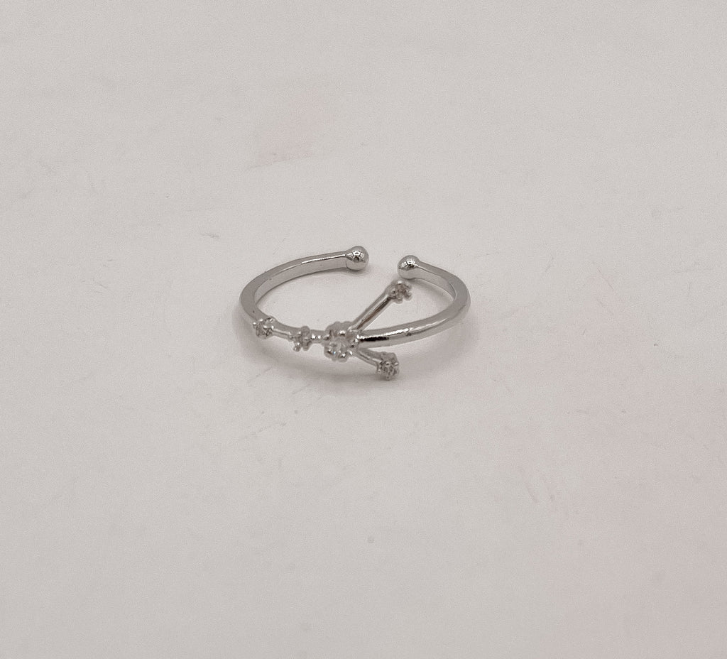 Zodiac Constellation Ring - Silver