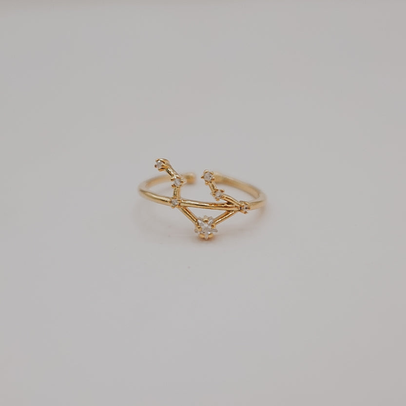 Zodiac Constellation Ring - Gold