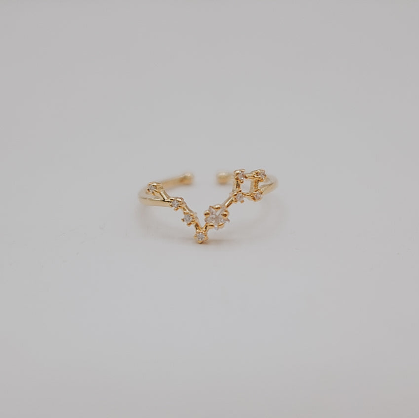 Zodiac Constellation Ring - Gold