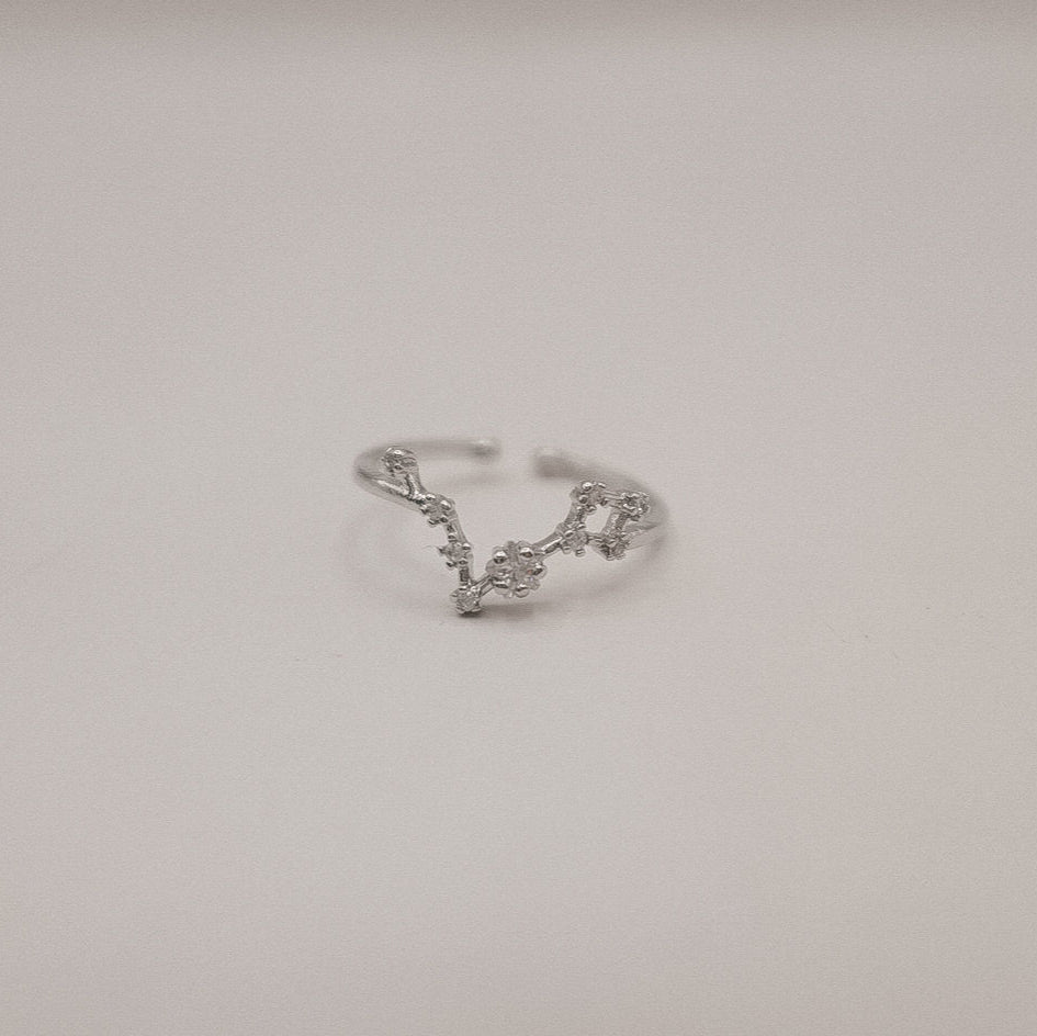 Zodiac Constellation Ring - Silver