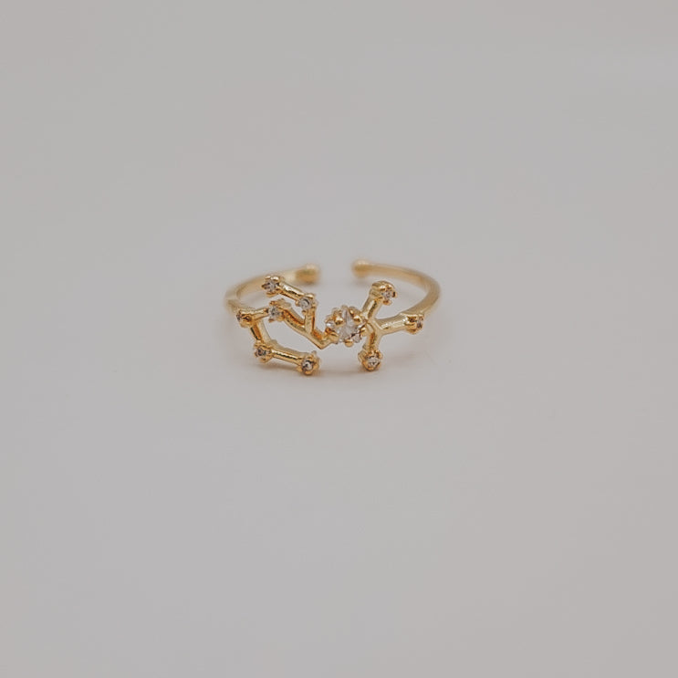 Zodiac Constellation Ring - Gold