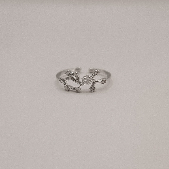 Zodiac Constellation Ring - Silver