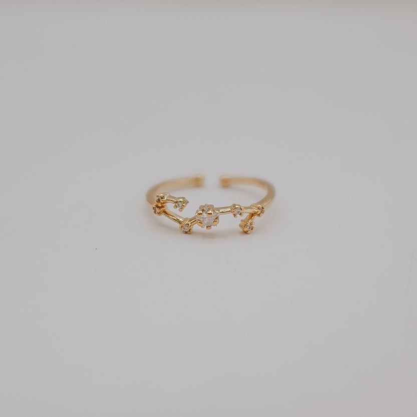 Zodiac Constellation Ring - Gold