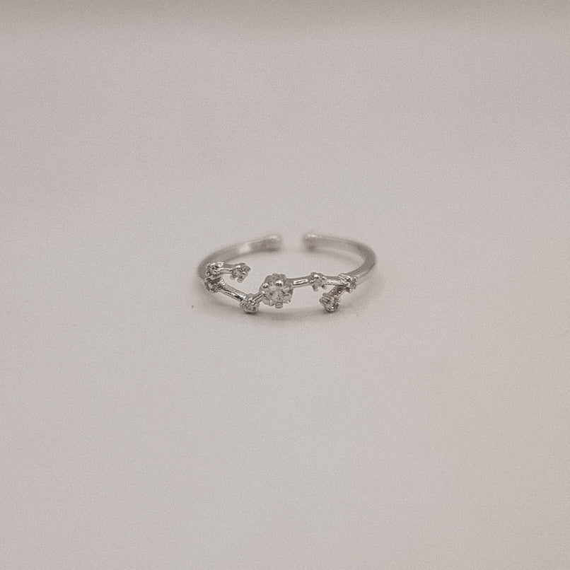 Zodiac Constellation Ring - Silver