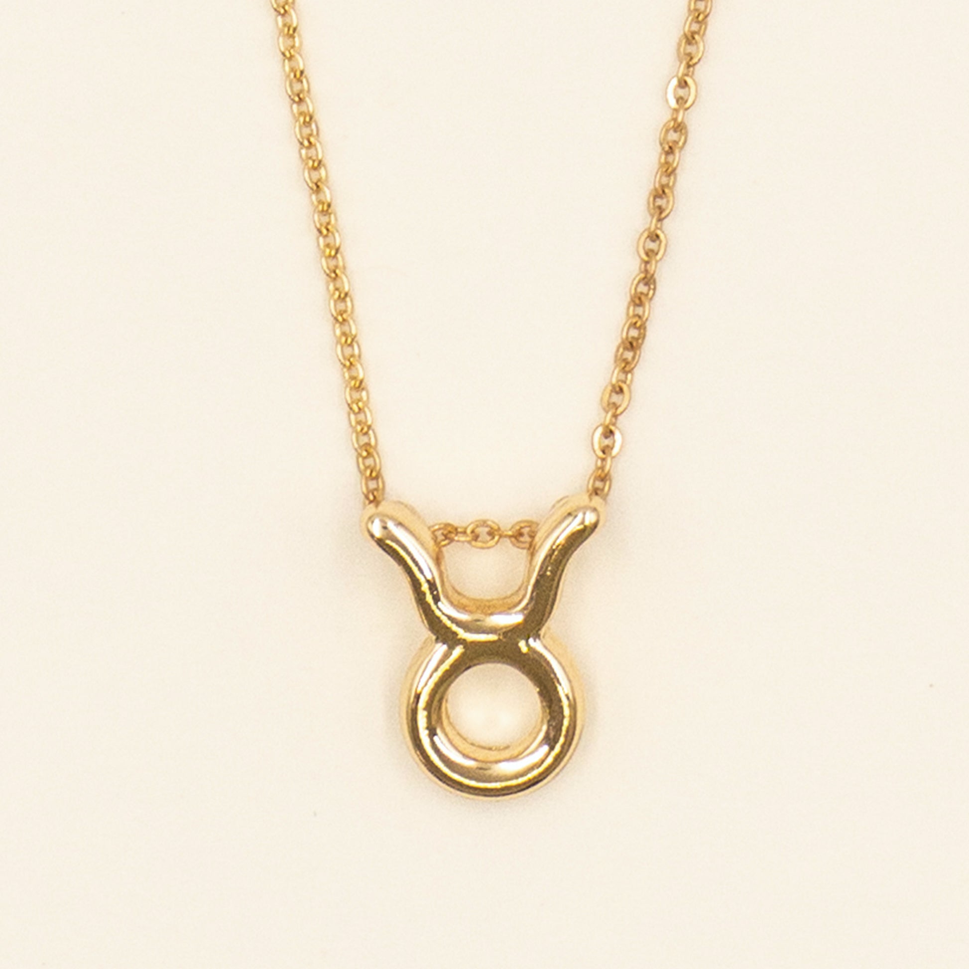 Zodiac Sign Necklace - Gold