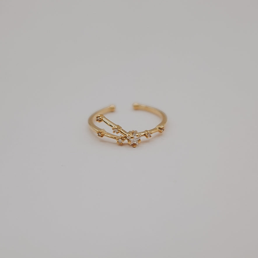 Zodiac Constellation Ring - Gold
