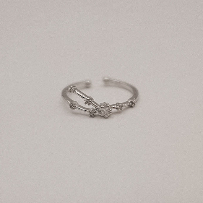 Zodiac Constellation Ring - Silver