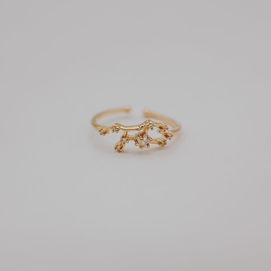 Zodiac Constellation Ring - Gold