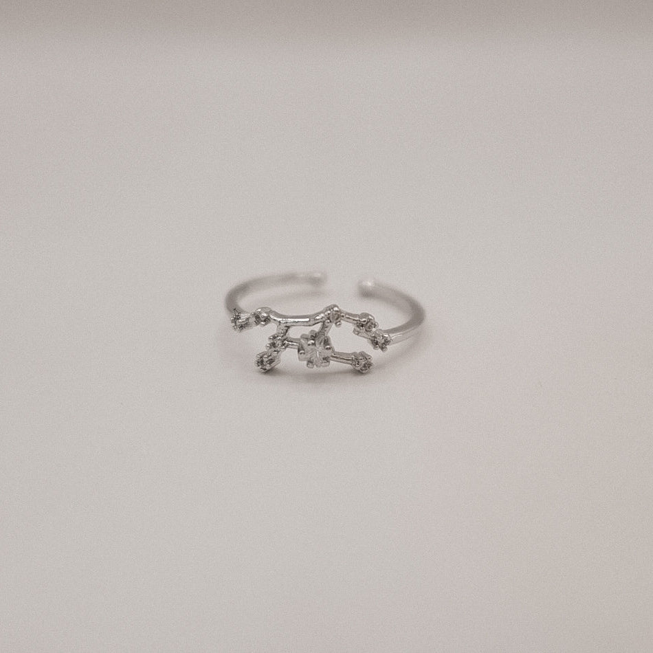 Zodiac Constellation Ring - Silver