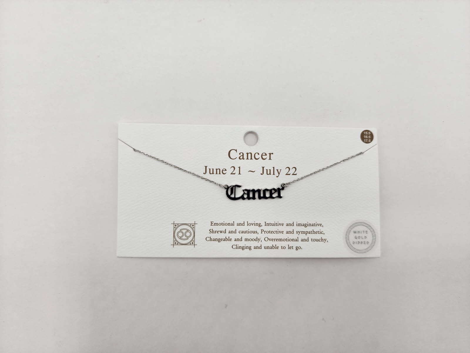 Celestial Script Zodiac Necklace Silver