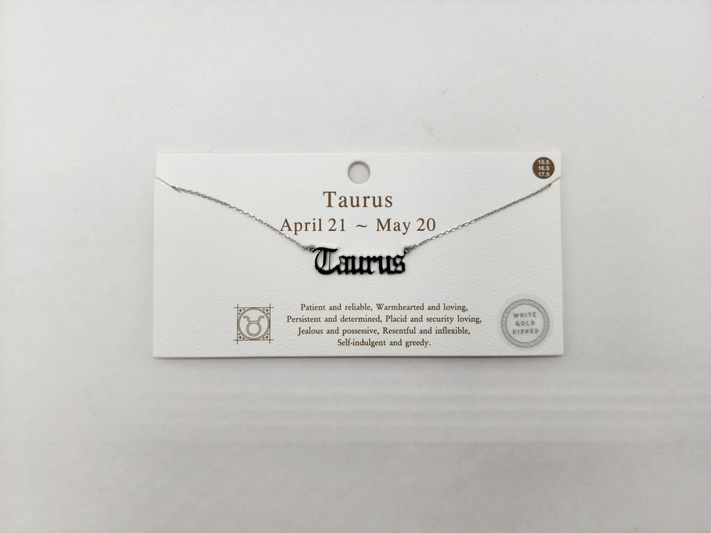 Celestial Script Zodiac Necklace Silver