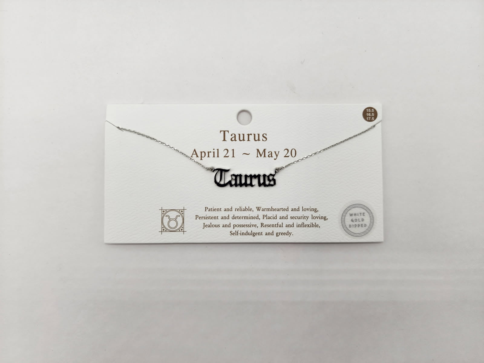 Celestial Script Zodiac Necklace Silver