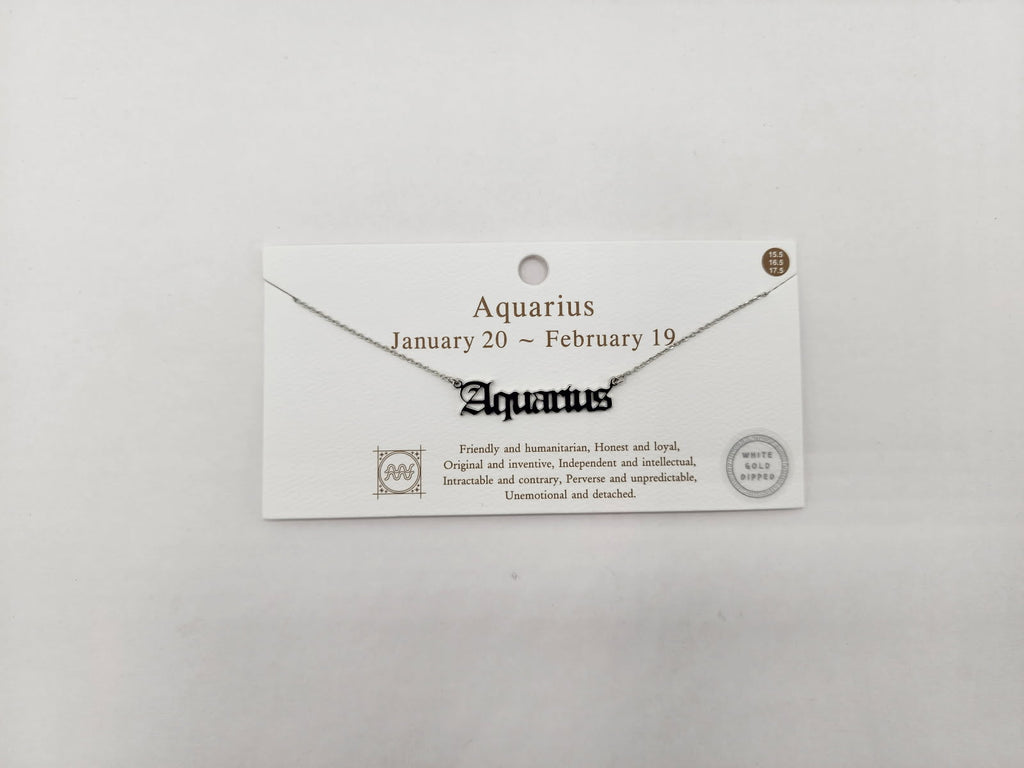 Celestial Script Zodiac Necklace Silver