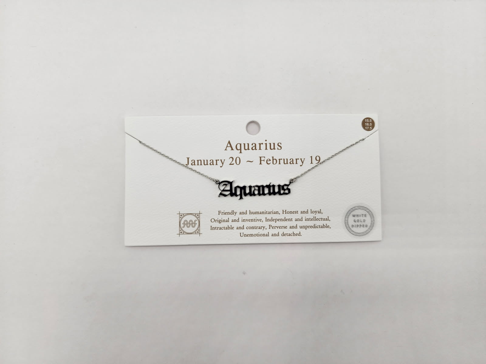 Celestial Script Zodiac Necklace Silver